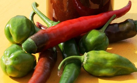 GOURMET SAUCES