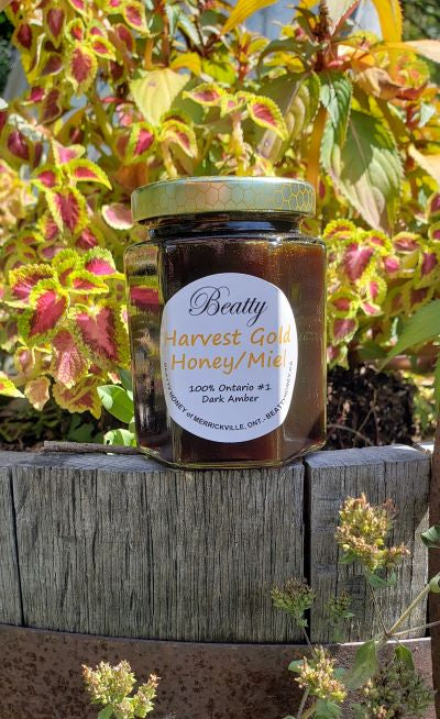 Harvest Moon Honey