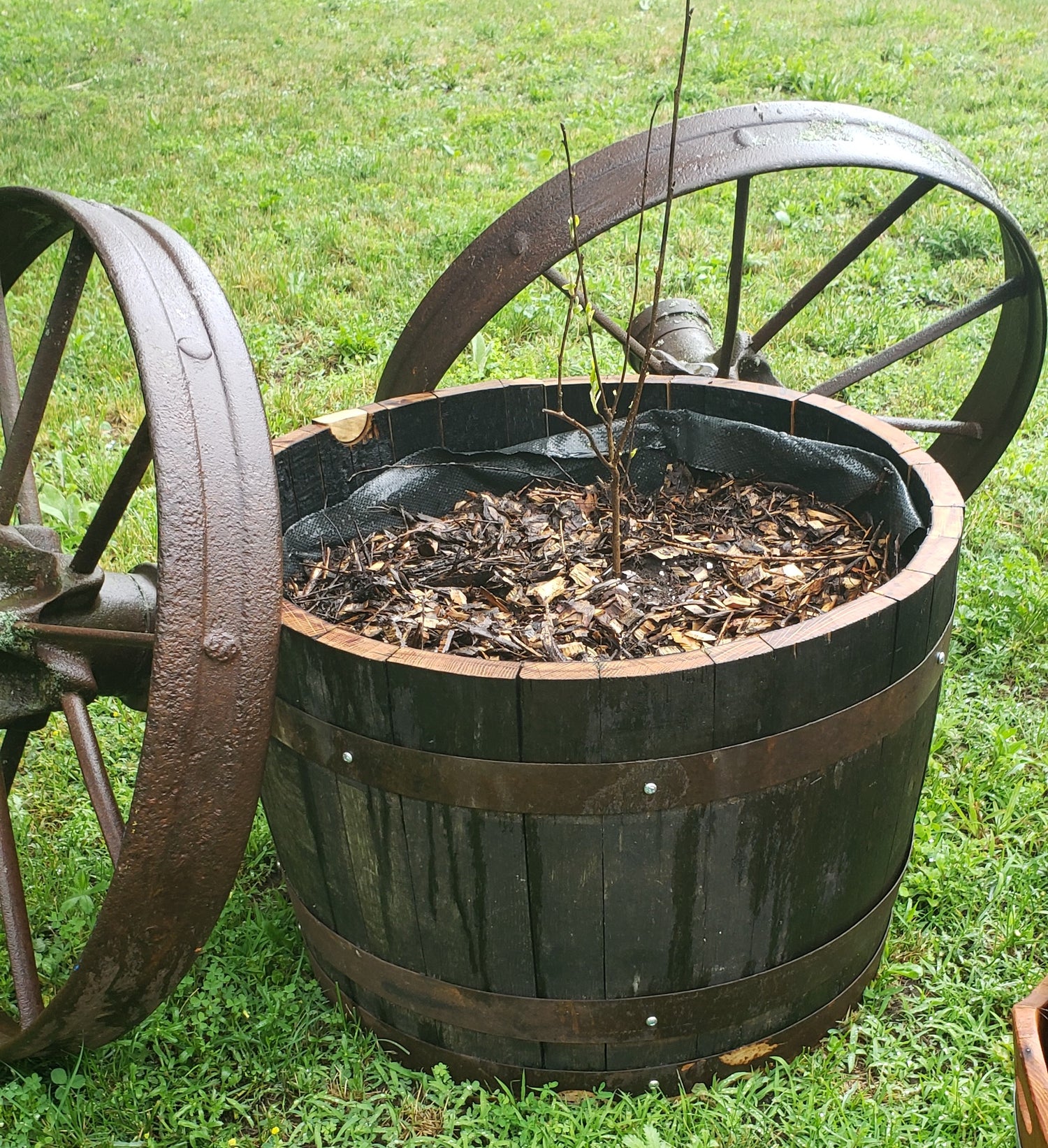 Gardens for Honeybees