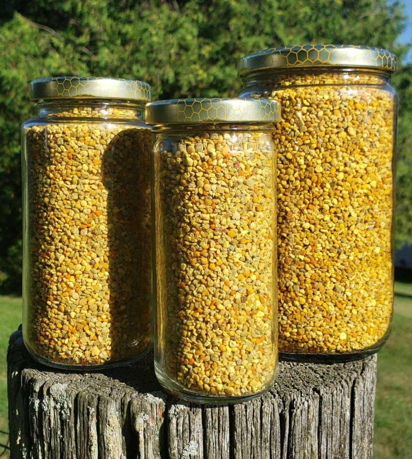 Raw Bee Pollen